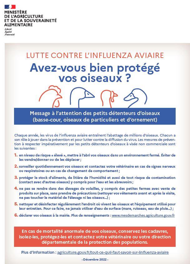Basse cour
