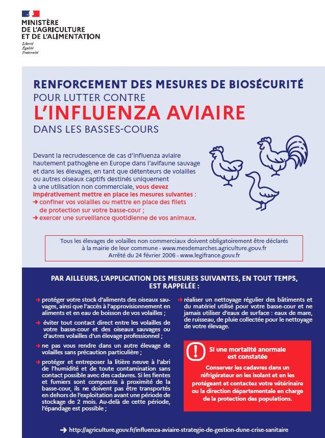 Influenza 1