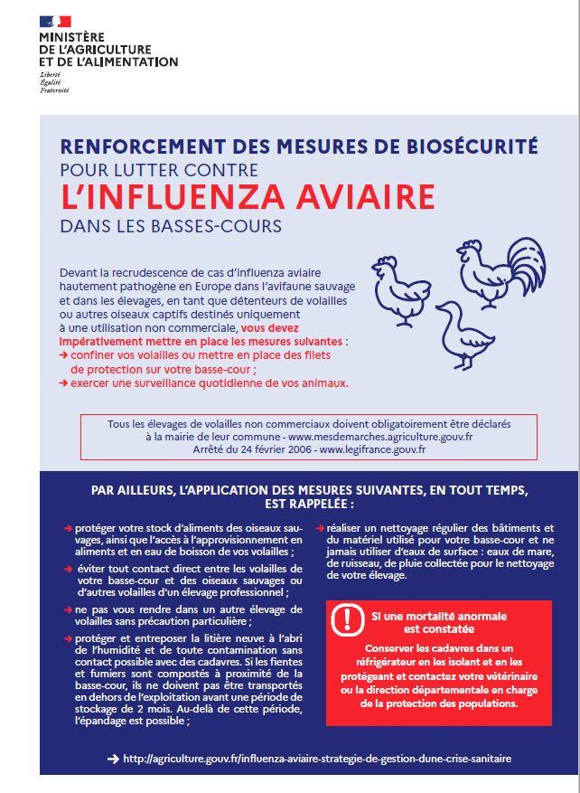 Influenza