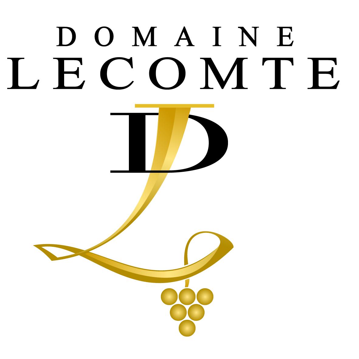 Logo dl 2021 1