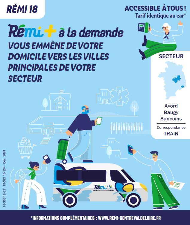 Remi train